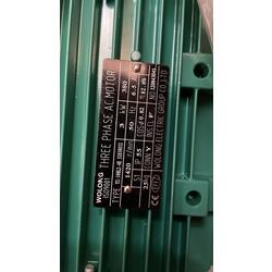  Motor Trifasico 3kW/4HP  IP55 Wolong 380 Volts 6.5 A  1420 rpm 
